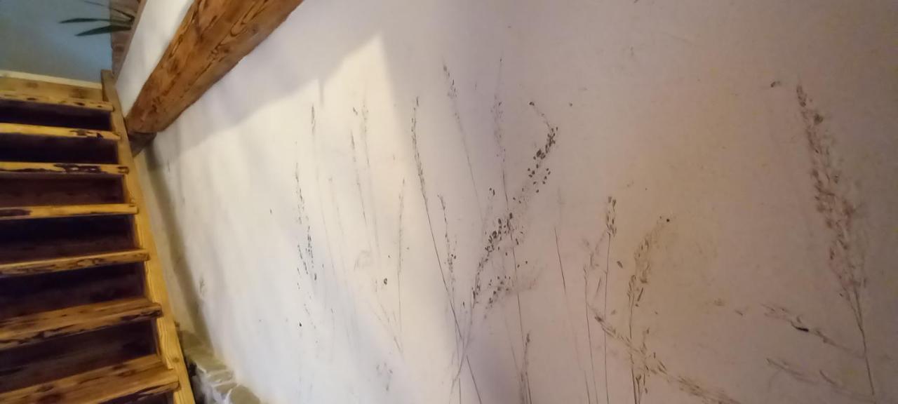 Apartmany Terra Stará Lesná エクステリア 写真
